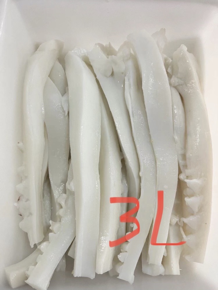 魷魚切段(3L-4L)-博翔§(圖)