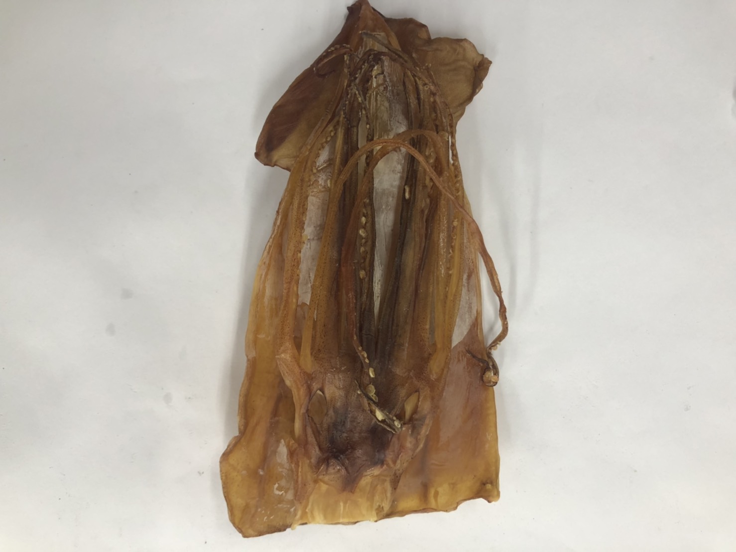 (W)魷魚乾(1L-阿根廷)-客訂品(圖)