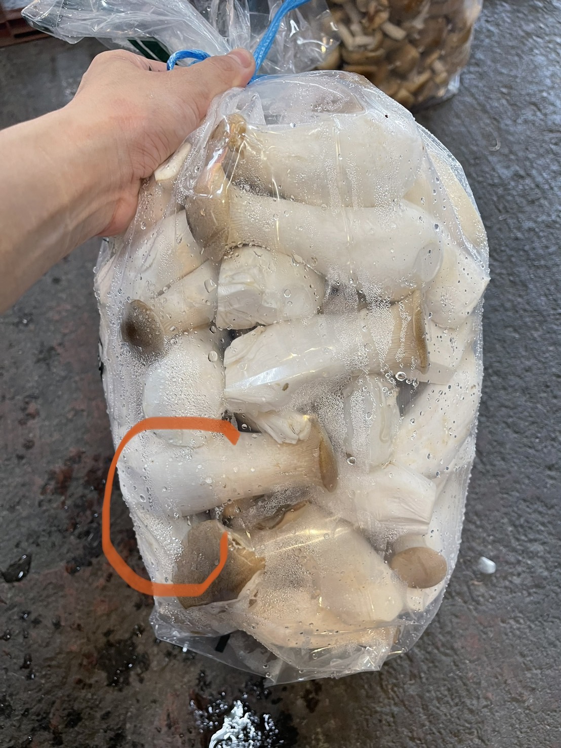 杏鮑菇(C)-時價(圖)