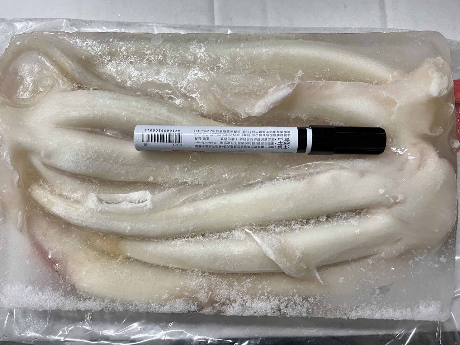 魷魚(5L-6L)-博翔§(圖)