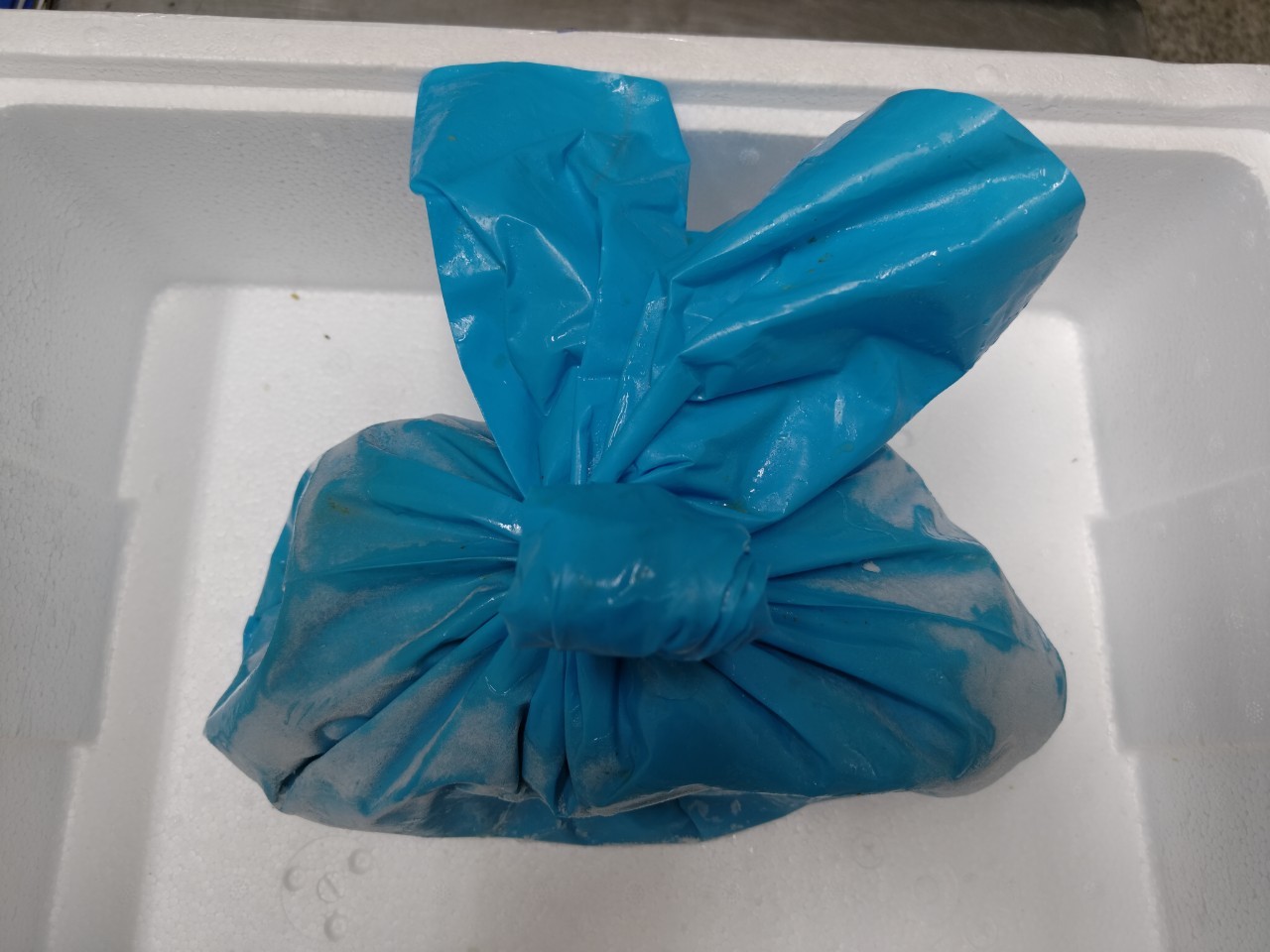 原味醃雞翅(藍袋)-中泰(圖)