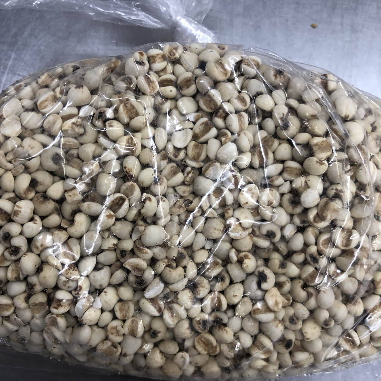 聖文薏仁(大.寮國)(圖)