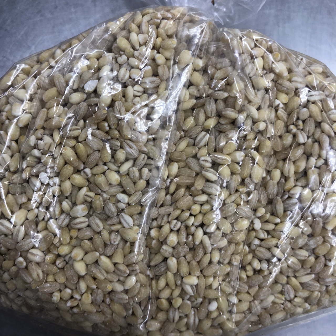 薏仁(小)-(±1斤/包)(圖)