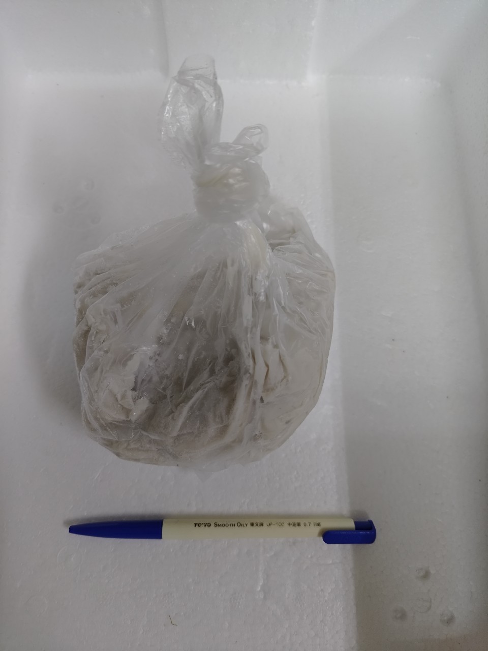 魚-魚漿(鯊魚)(圖)