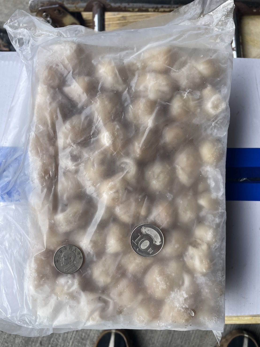 軟體-龍珠(10元大)-博翔(圖)